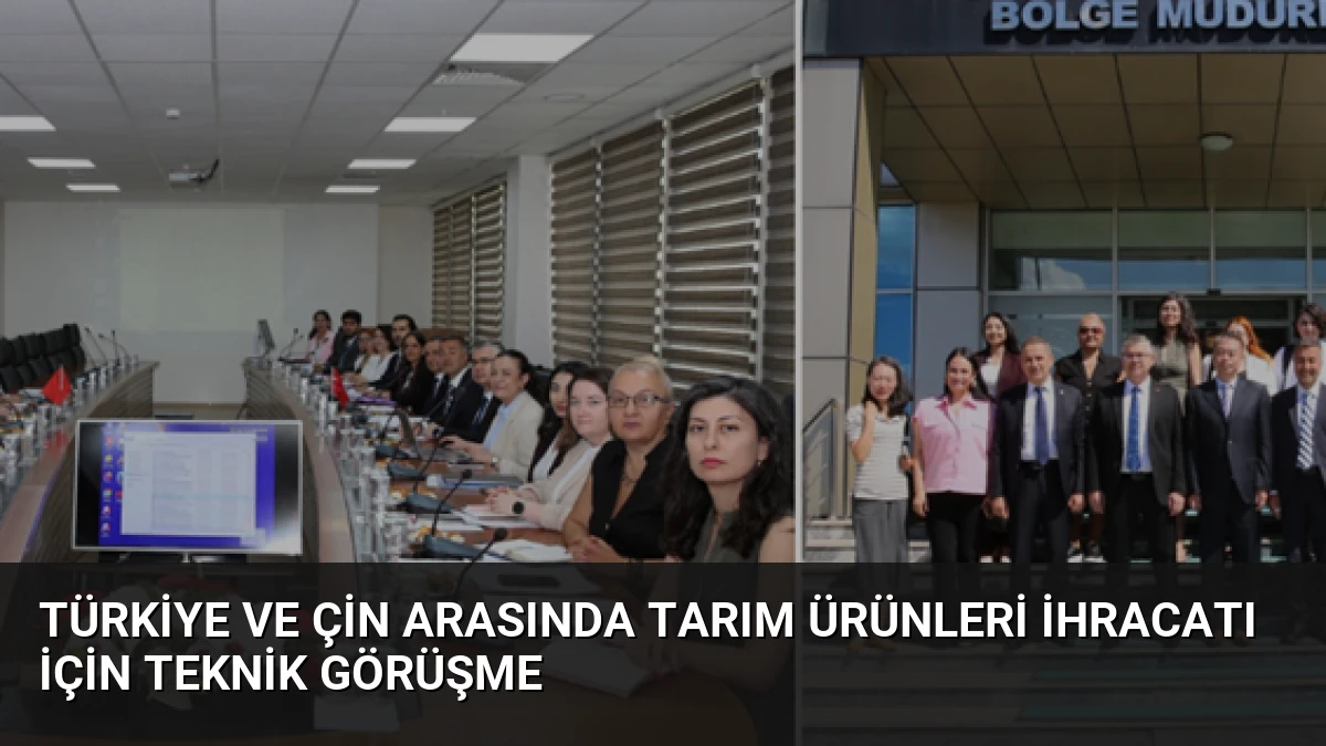 Türkiye ve Çin arasında tarım ürünleri ihracatı için teknik görüşme
