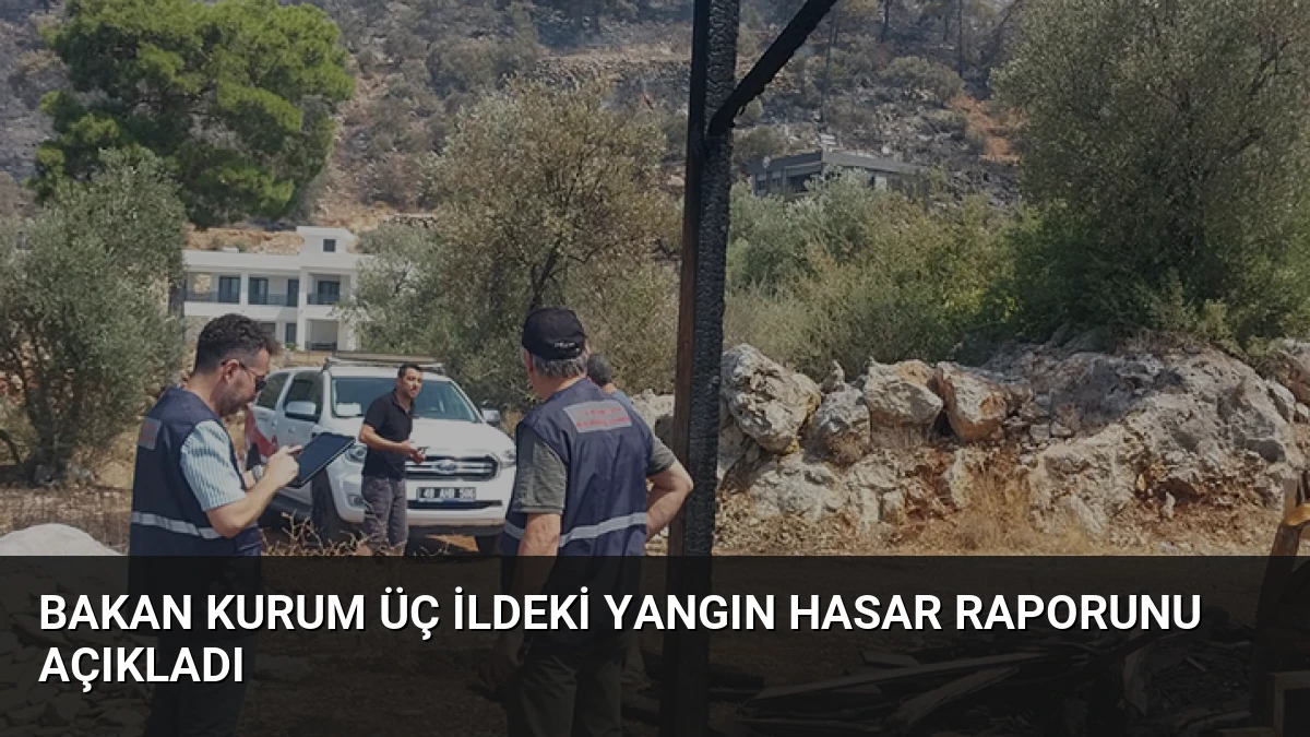 Bakan Kurum Üç İldeki Yangın Hasar Raporunu Açıkladı