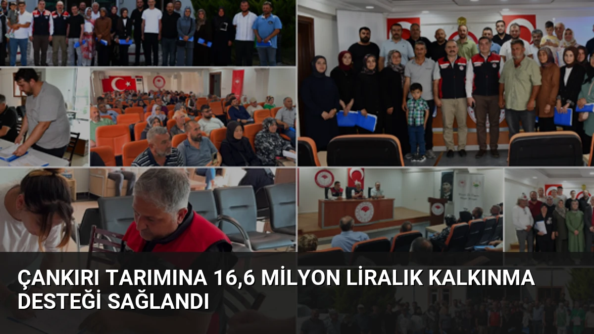 Çankırı tarımına 16,6 milyon liralık kalkınma desteği sağlandı