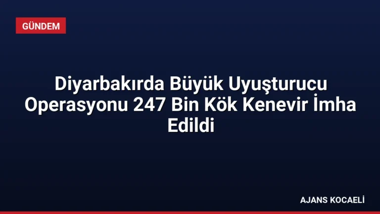 Diyarbakırda Büyük Uyuşturucu Operasyonu 247 Bin Kök Kenevir İmha Edildi