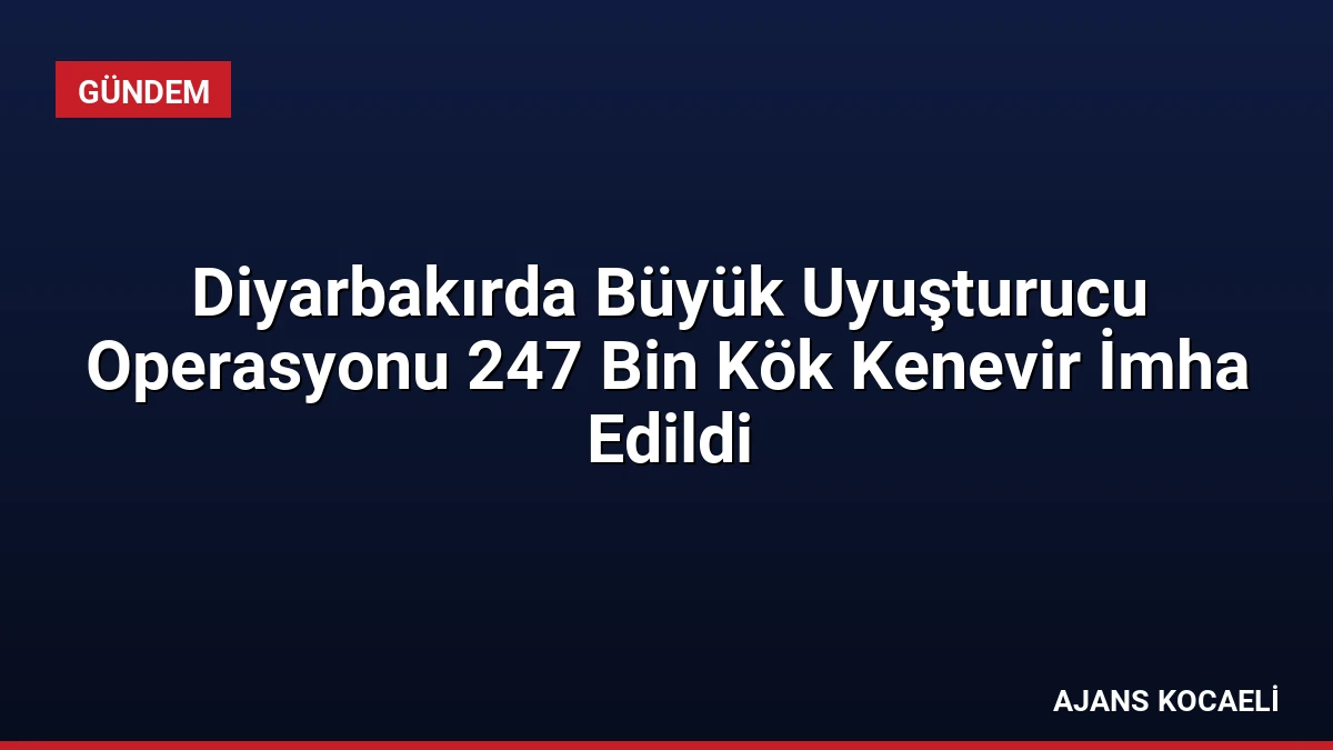 Diyarbakırda Büyük Uyuşturucu Operasyonu 247 Bin Kök Kenevir İmha Edildi
