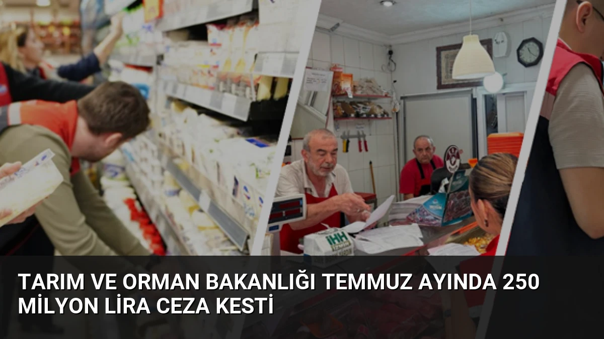Tarım ve Orman Bakanlığı Temmuz Ayında 250 Milyon Lira Ceza Kesti