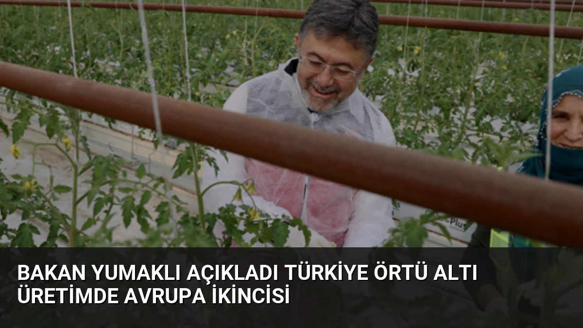 Bakan Yumaklı Açıkladı Türkiye Örtü Altı Üretimde Avrupa İkincisi