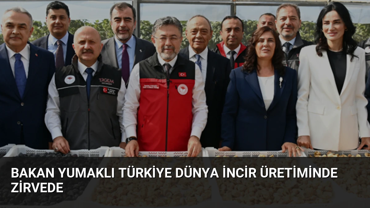 Bakan Yumaklı Türkiye Dünya İncir Üretiminde Zirvede