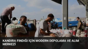 Kandıra fındığı için modern depolama ve alım merkezi