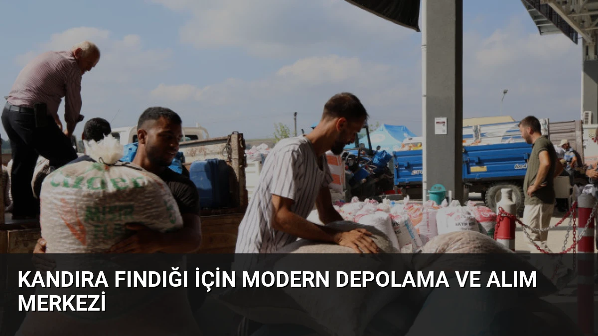 Kandıra fındığı için modern depolama ve alım merkezi