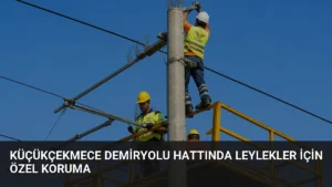 Küçükçekmece Demiryolu Hattında Leylekler İçin Özel Koruma