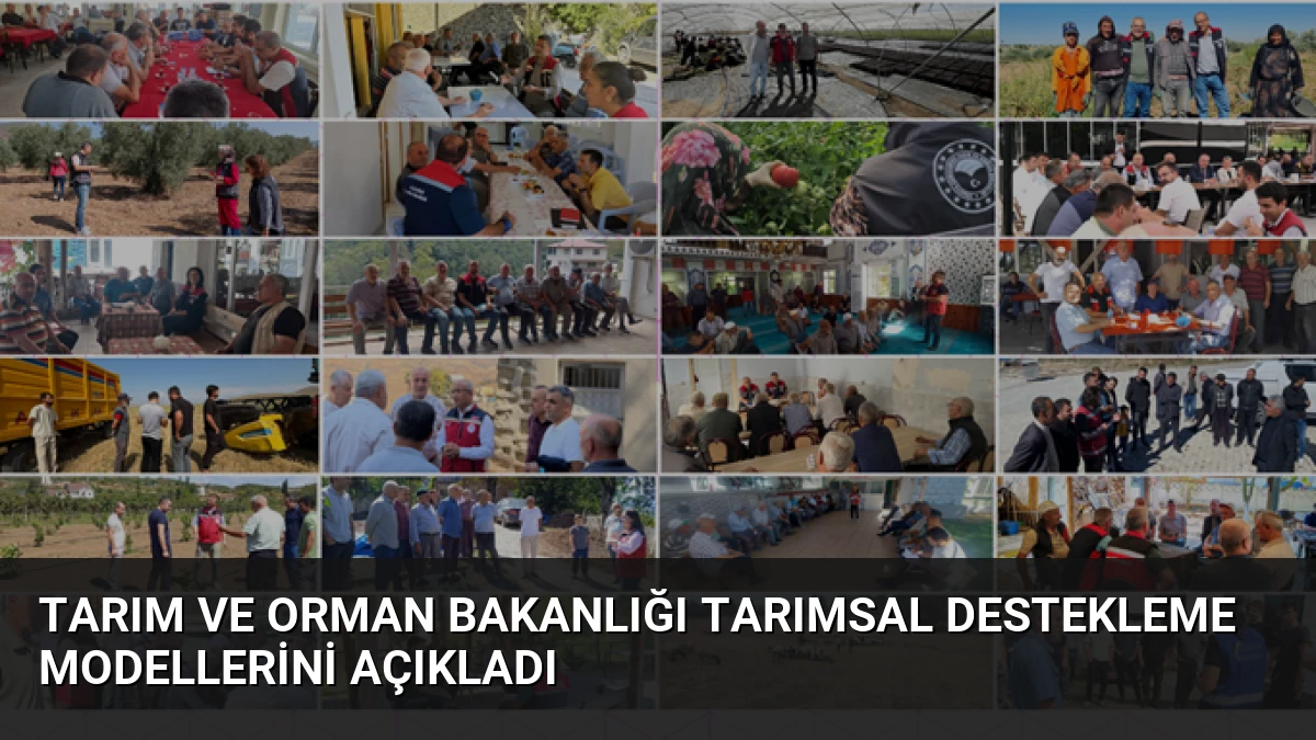 Tarım ve Orman Bakanlığı Tarımsal Destekleme Modellerini Açıkladı