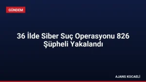 36 İlde Siber Suç Operasyonu 826 Şüpheli Yakalandı