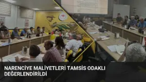 Narenciye Maliyetleri TAMSİS Odaklı Değerlendirildi