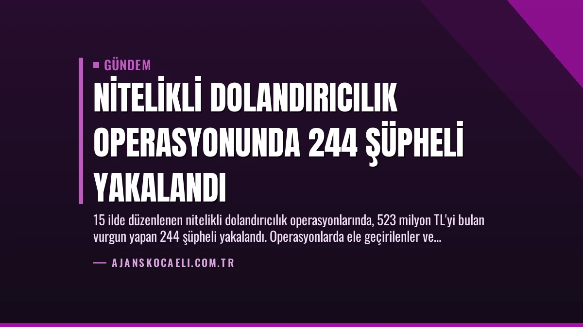 Nitelikli Dolandırıcılık Operasyonunda 244 Şüpheli Yakalandı